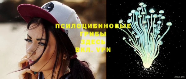 индика Семёнов