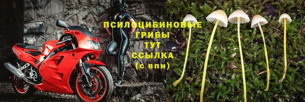 а пвп мука Богородск