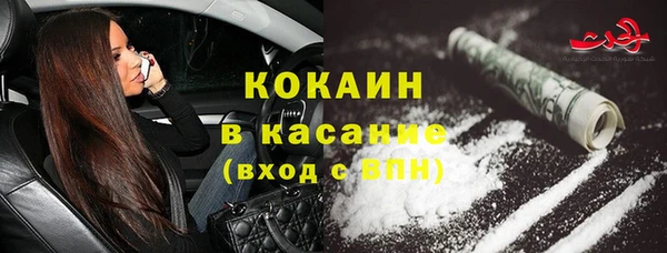 твердый Богданович